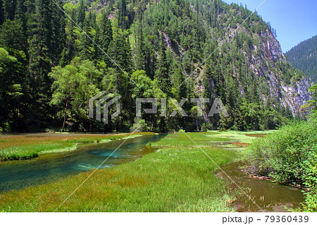 中国四川省　九寨溝の湖沼群　芳草海 79360439