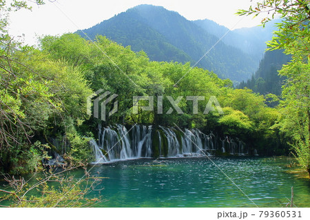 中国四川省　九寨溝の湖沼群　箭竹海瀑布 79360531