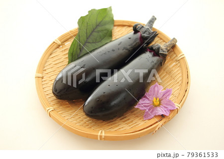 もぎたての茄子 もぎたての茄子 79361533