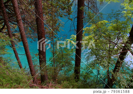 中国四川省 九寨溝の湖沼群 パンダ海 中国四川省 九寨溝の湖沼群 パンダ海 79361588