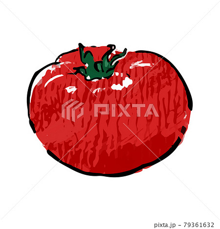トマトの手描きイラスト　リアル　野菜　赤　つや　単体 79361632