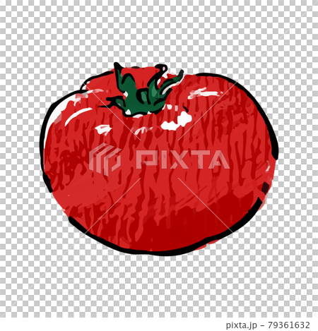 番茄、真蔬菜、紅色光澤、單一物質的手繪插圖 79361632