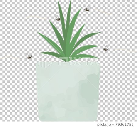 蒼蠅在觀葉植物周圍飛行的插圖 79361785