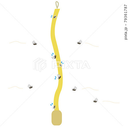 コバエと粘着式ハエ取りのイラスト 79361787