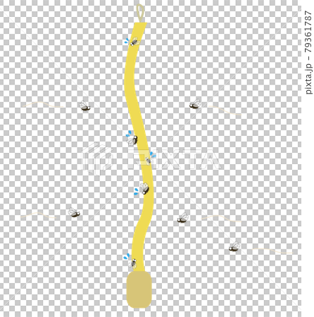 コバエと粘着式ハエ取りのイラスト 79361787