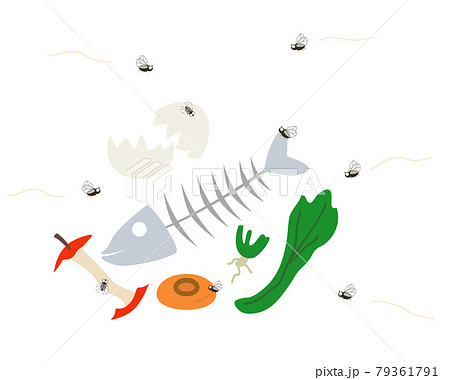 生ゴミの周りをコバエが飛び回っているイラスト 生ゴミの周りをコバエが飛び回っているイラスト 79361791