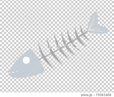 魚の骨のイラスト 79361808