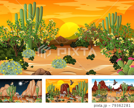 Different scenes with desert forest landscape with animals and plants Different scenes with desert forest landscape with animals and plants 79362281