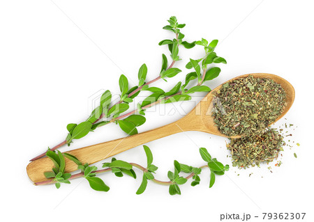 Oregano or marjoram leaves fresh and dry isolated on white background with clipping path. Top view. Flat lay Oregano or marjoram leaves fresh and dry isolated on white background with clipping path. Top view. Flat lay 79362307