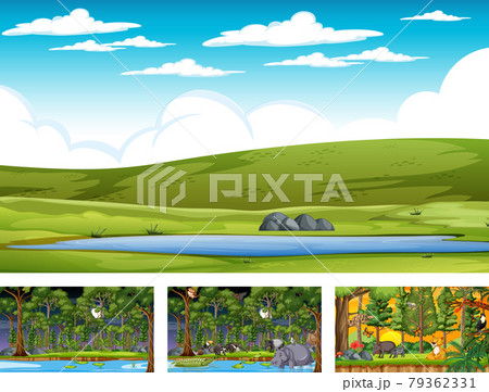 Different nature scenes of forest and rainforest with wild animals Different nature scenes of forest and rainforest with wild animals 79362331