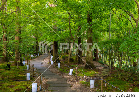 円通院 宮城県松島町 79362368