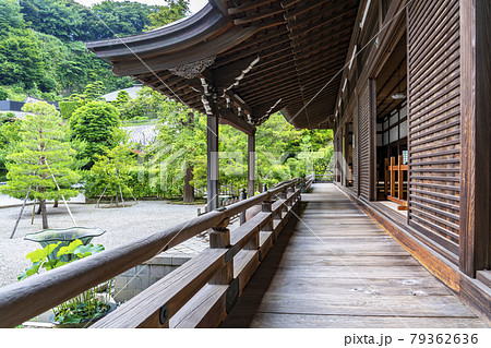 【神奈川県】鎌倉　重厚感のある建長寺の方丈 79362636