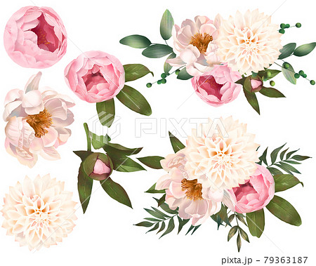 薔薇とダリアと牡丹の花とリーフの植物イラストベクター素材のイラスト素材