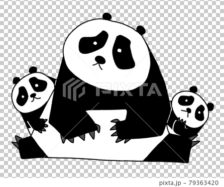 Panda parent and child Panda parent and child 79363420