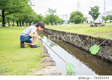 真夏の小川で遊ぶ男の子 79364444