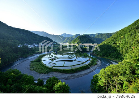 あらぎ島の棚田 あらぎ島の棚田 79364628