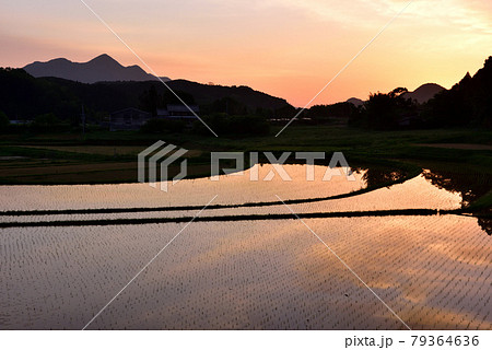 宇陀雨師の棚田 宇陀雨師の棚田 79364636