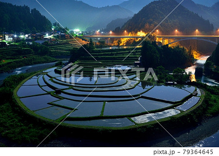 あらぎ島の棚田 79364645