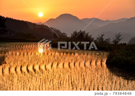 宇陀安田の棚田 79364646