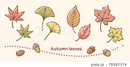 シンプルな線で描いた秋の落葉のイラスト 79365374
