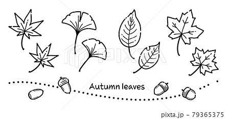 シンプルな線で描いた秋の落葉のイラスト モノクロ のイラスト素材
