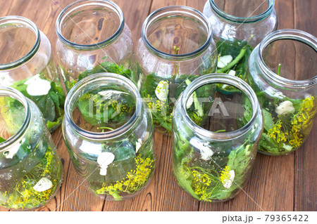 Jars with spices, garlic and pickle for preserving cucumbers. Jars with spices on a wooden background, preservation for the winter 79365422