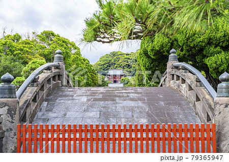 【神奈川県】鎌倉　緑が生い茂る鶴岡八幡宮の本宮と太鼓橋 79365947