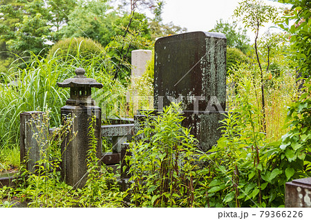 跡継ぎのいない草に覆われた墓、雨の墓地 79366226
