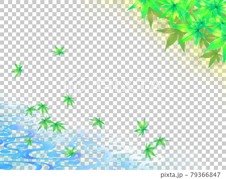夏紅葉と水面 夏紅葉と水面 79366847