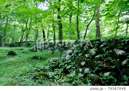 四季の郷・江戸時代の霞堤（福島県・福島市） 79367048