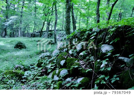 四季の郷・江戸時代の霞堤（福島県・福島市） 79367049