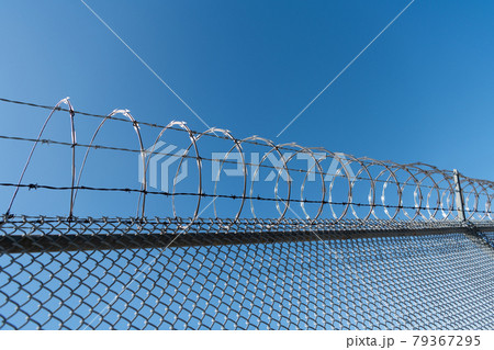 barbwire prison wall with barbed wire fence coiled razor wire perimeter fence with nobody, jail wall barbwire prison wall with barbed wire fence coiled razor wire perimeter fence with nobody, jail wall 79367295
