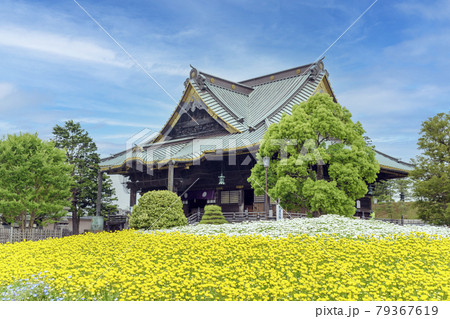 成田山新勝寺　釈迦堂と花畑 79367619