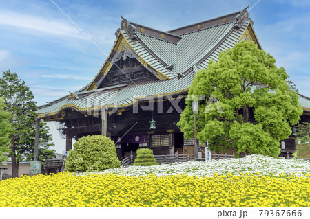 成田山新勝寺　釈迦堂と花畑 79367666