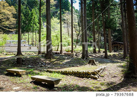 キャンプ場広場【福井県たけくらべ広場】 キャンプ場広場【福井県たけくらべ広場】 79367688