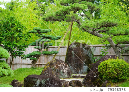 奈良生駒高山竹林園の庭園2 79368578
