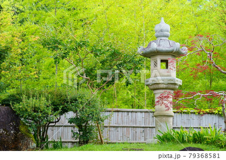 奈良生駒高山竹林園の庭園5 79368581