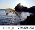 ススキの後ろに夕日が沈む 79369158