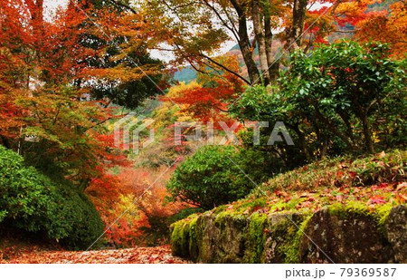 英彦山大権現の紅葉 79369587
