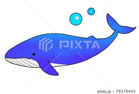クジラのイラストと水泡のイラスト素材