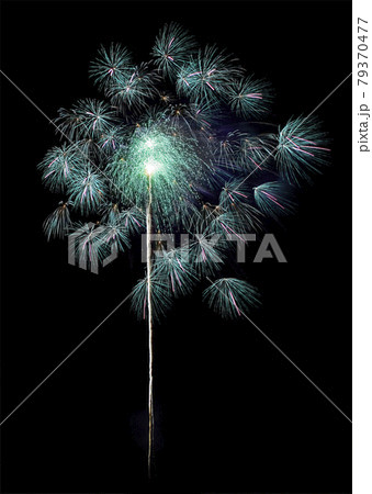 【花火イメージ】千輪菊コレクション。たくさんの小花が一斉に咲き乱れる打ち上げ花火。 79370477