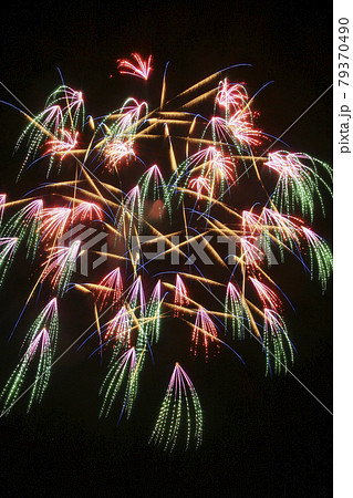 花火イメージ 千輪菊コレクション たくさんの小花が一斉に咲き乱れる打ち上げ花火 の写真素材 花火イメージ 千輪菊コレクション たくさんの小花が一斉に咲き乱れる打ち上げ花火 の写真素材