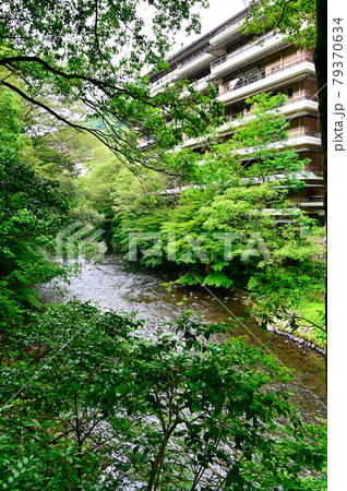 石川県　山中温泉鶴仙渓散策路 79370634