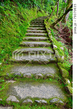 石川県 山中温泉鶴仙渓散策路 石川県 山中温泉鶴仙渓散策路 79370635
