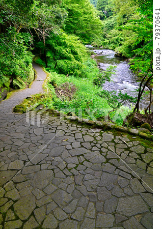 石川県 山中温泉鶴仙渓散策路 石川県 山中温泉鶴仙渓散策路 79370641