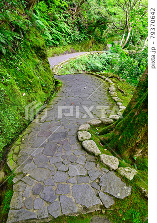 石川県 山中温泉鶴仙渓散策路 石川県 山中温泉鶴仙渓散策路 79370642