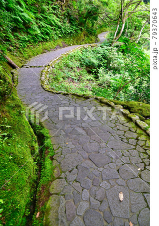 石川県　山中温泉鶴仙渓散策路 79370643