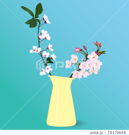 花瓶に生けた桜の花 つぼみ 葉のイラスト素材