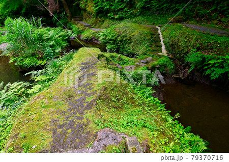 石川県 山中温泉鶴仙渓散策路 石川県 山中温泉鶴仙渓散策路 79370716