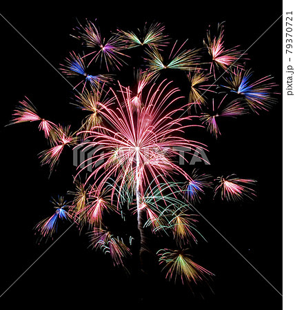 花火イメージ 千輪菊コレクション たくさんの小花が一斉に咲き乱れる打ち上げ花火 の写真素材 花火イメージ 千輪菊コレクション たくさんの小花が一斉に咲き乱れる打ち上げ花火 の写真素材